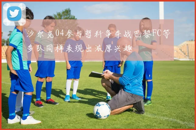 沙尔克04参与哲科争夺战巴黎FC等多队同样表现出浓厚兴趣